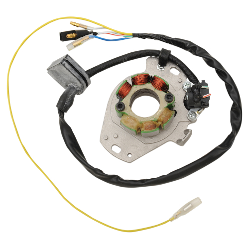Ricks Motorsport Electric - Ricks Motorsport Electric Stator - 21-603H
