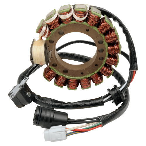 Ricks Motorsport Electric - Ricks Motorsport Electric Stator - 21-919