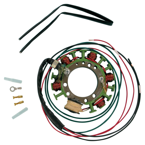 Ricks Motorsport Electric - Ricks Motorsport Electric Stator - 21-613