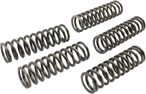 EBC - EBC CSK Clutch Spring Kit - CSK223