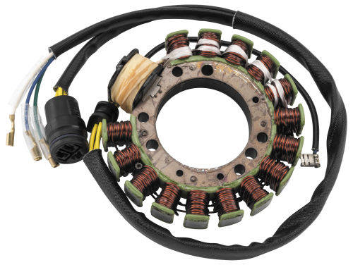 Ricks Motorsport Electric - Ricks Motorsport Electric Stator - 21-820H