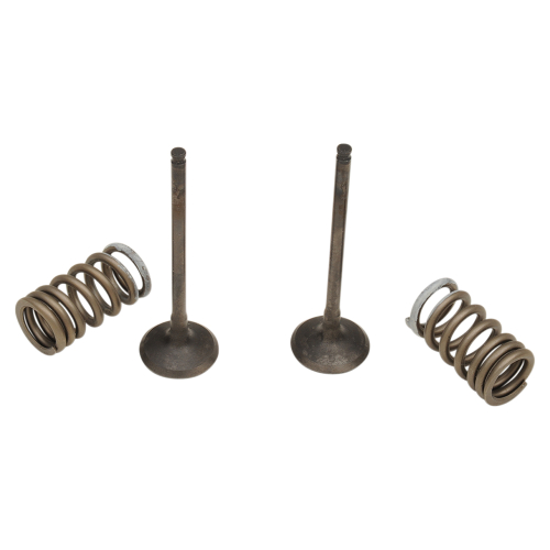 Pro-X - Pro-X Steel Exhaust Valve and Spring Kit - 28.SES3338-1