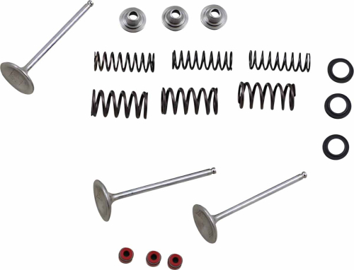 Moose Racing - Moose Racing Intake Valve Kit - M80-80950
