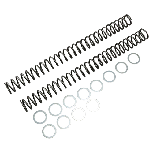 Race Tech - Race Tech Fork Springs - .46 kg/mm - FRSP 414646