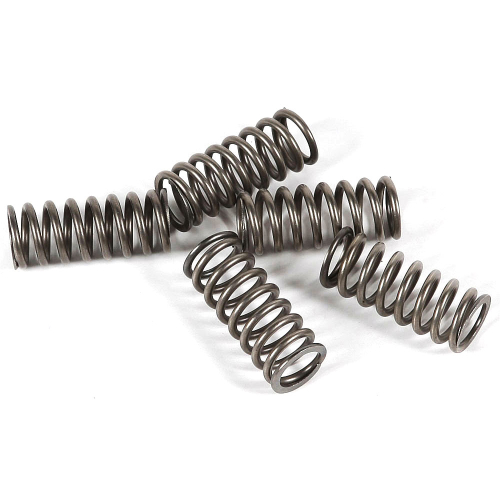 EBC - EBC CSK Clutch Spring Kit - CSK101