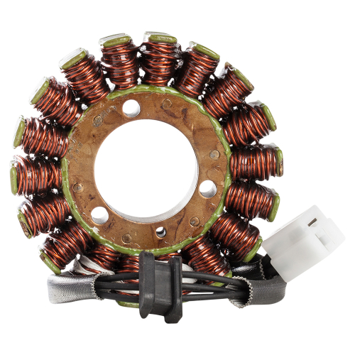 Ricks Motorsport Electric - Ricks Motorsport Electric Stator - 21-226