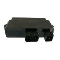 Wild Boar - Wild Boar High Performance CDI - IYA6036