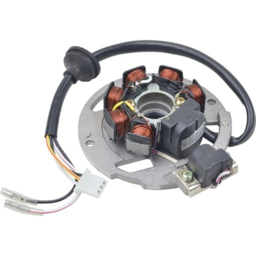 Wild Boar - Wild Boar Stator Coil - 340-22012