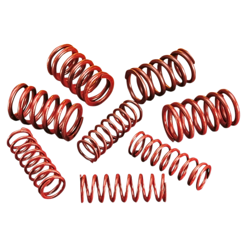 Andrews - Andrews .550in. Lift Valve Springs - 294150