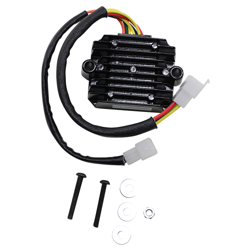 Ricks Motorsport Electric - Ricks Motorsport Electric Stator - 10-231