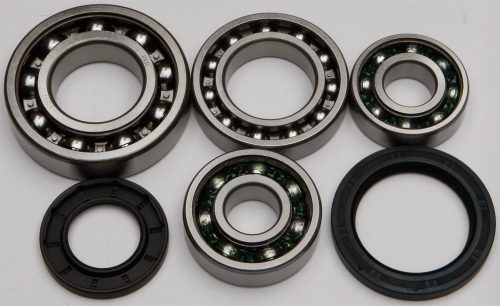 All Balls - All Balls Differential Bearing and Seal Kit - 25-2017