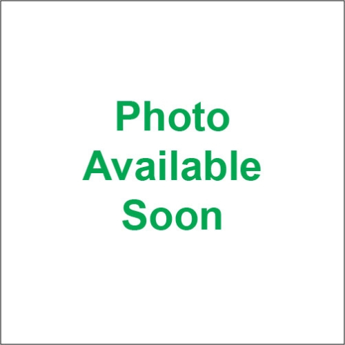 Fire Power - Fire Power Premium Racing Clip - M/L - MRD7-ML 520X120 GOLD