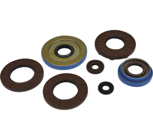 QuadBoss - QuadBoss Oil Seal Set - 822375QB