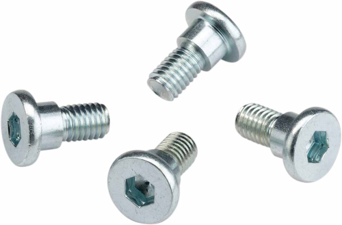 Moose Racing - Moose Racing OEM Rotor Bolts - Rear - 039-6A02