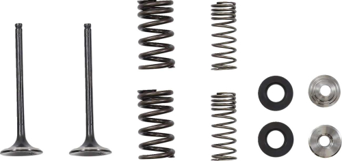 Moose Racing - Moose Racing Exhaust Valve Kit - 0926-3374