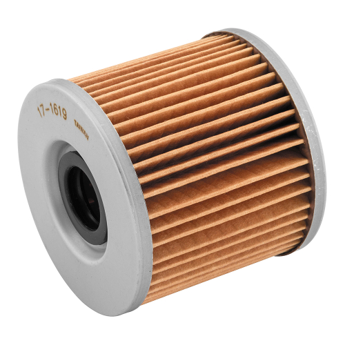 BikeMaster - BikeMaster Oil Filter - 171619