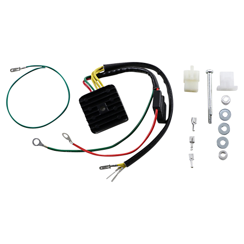 Ricks Motorsport Electric - Ricks Motorsport Electric Stator - 10-164H