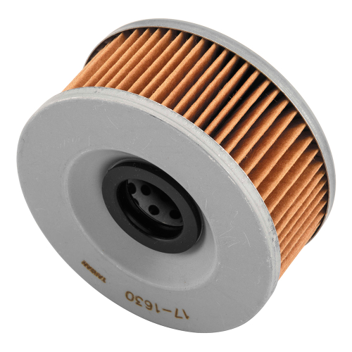 BikeMaster - BikeMaster Oil Filter - 171630