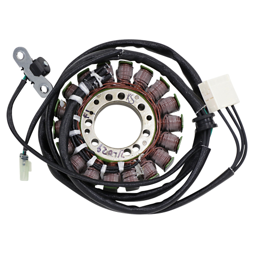 Ricks Motorsport Electric - Ricks Motorsport Electric Stator - 21-029