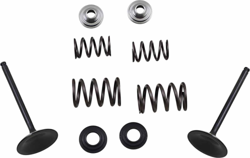 Moose Racing - Moose Racing Intake Valve Kit - M60-60850