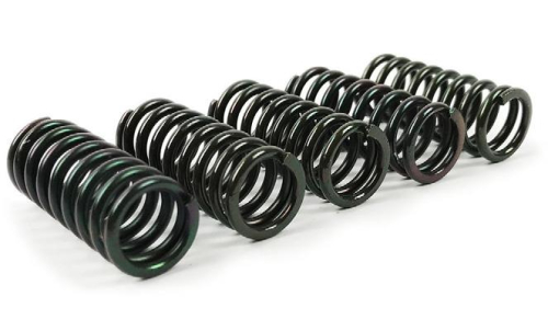 Wiseco - Wiseco Clutch Springs - CSK031