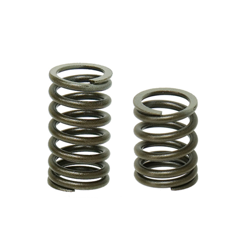 Bronco - Bronco Intake and Exhaust Valvespring - AU-09518S-3