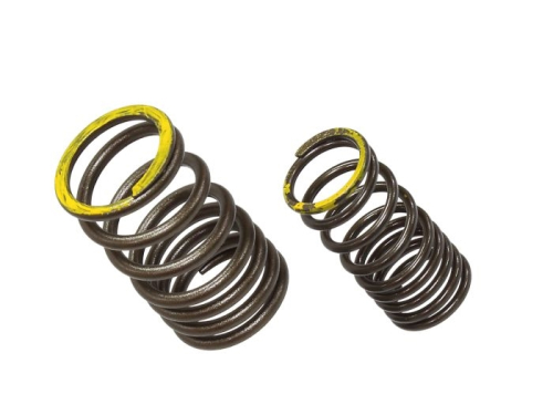Psychic MX - Psychic MX Exhaust Valve Spring - XU-09563ES