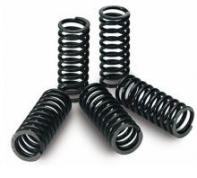 Pro-X - Pro-X Clutch Springs Kit - 17.CS22030