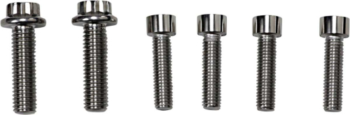 Diamond Engineering - Diamond Engineering Front Caliper Mount 12-Point Polished Stainless Individual Brake Bolt Kit - PB799S