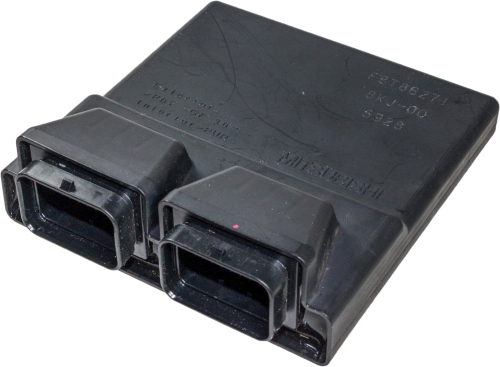 Speedwerx - Speedwerx ECU Reflash - ECU-8000-1819