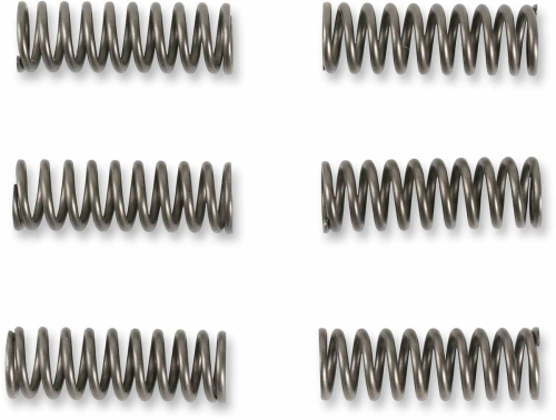 Moose Racing - Moose Racing Clutch Springs - MHDS130-6