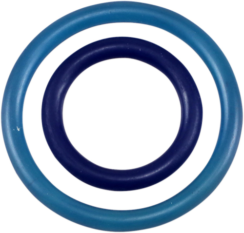 Parts Unlimited - Parts Unlimited Works Bladder O-Ring Kit - TS-68-WBK-S
