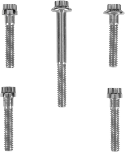 Diamond Engineering - Diamond Engineering Transmission Top Cover 12-Point Polished Stainless Engine Bolt Kit - PB582S