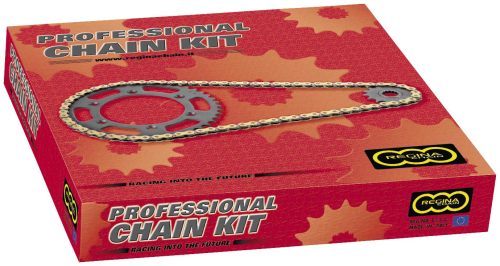 Regina Chain - Regina Chain OE Chain and Sprocket Kit - 7ZRP/108-KSU011