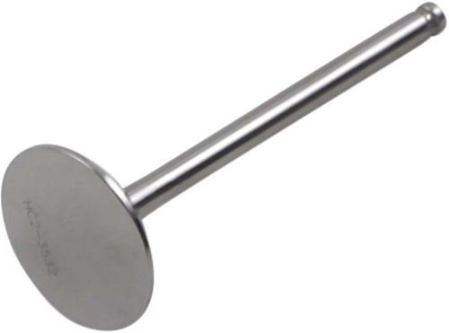Del West - Del West Titanium Exhaust Valve - Center/Outer - DW-YZ450F-EV03