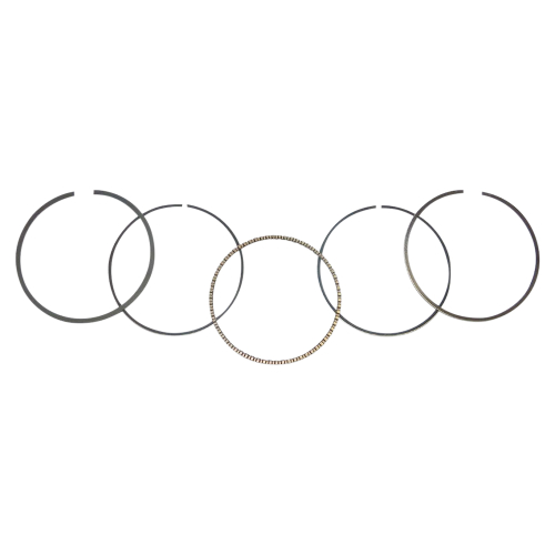 WSM - WSM Piston Ring Set - 75.00mm Bore - 51-252-07