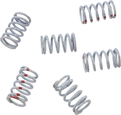 KG Clutch Factory - KG Clutch Factory High Performance Clutch Spring Set - KGS-047