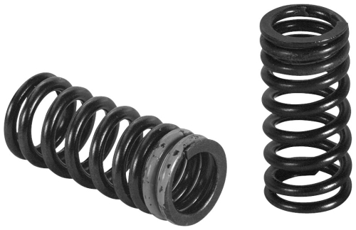 Xceldyne - Xceldyne Exhaust Valve Springs - PSIMX1802