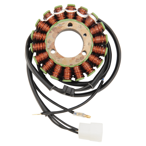 Ricks Motorsport Electric - Ricks Motorsport Electric Stator - 21-242