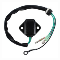 Wild Boar - Wild Boar PWC Regulator - AYA6031