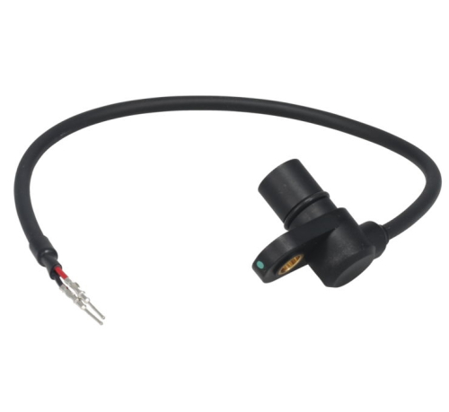 Twin Power - Twin Power Crankshaft Position Sensor - 484998