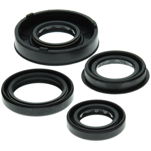 QuadBoss - QuadBoss Oil Seal Set - 822261QB