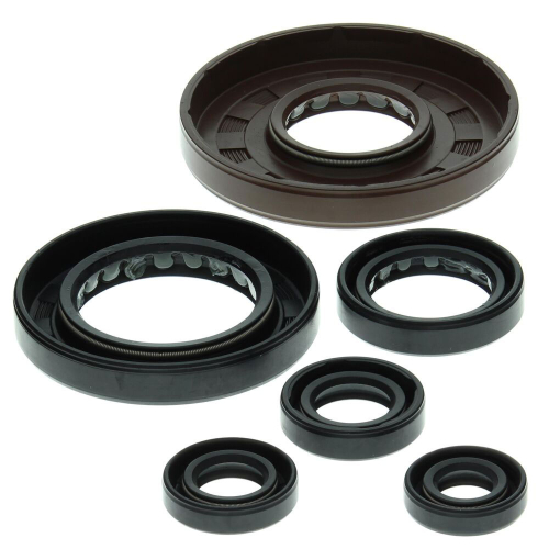 QuadBoss - QuadBoss Oil Seal Set - 822209QB