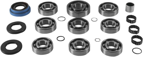 QuadBoss - QuadBoss Differential Bearing and Seal Kit - 5325-7013