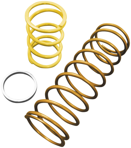 Dalton Clutches - Dalton Clutches Clutch Kit - DBO500