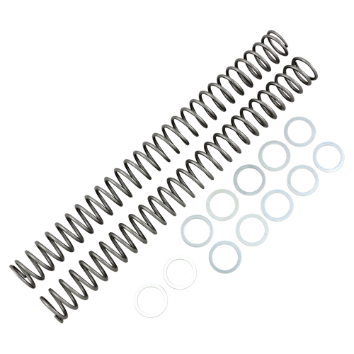 Race Tech - Race Tech Fork Springs - .46 kg/mm - FRSP 434646
