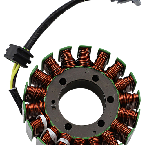 Ricks Motorsport Electric - Ricks Motorsport Electric Stator - 21-570
