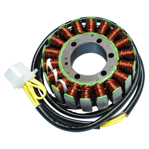 Ricks Motorsport Electric - Ricks Motorsport Electric Stator - 21-559