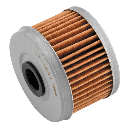 BikeMaster - BikeMaster Oil Filter - 171641