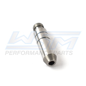 WSM - WSM Exhaust and Intake Valve Guide - 010-042